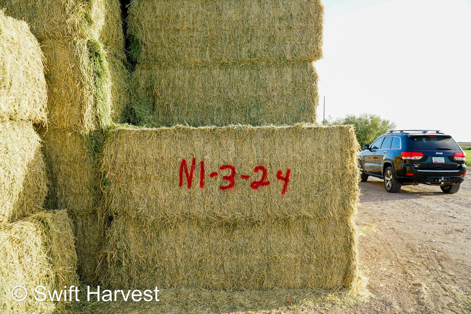 H&C Farms #1 Alfalfa 3 String Bale Hay N1-3-24 Test Hay Good Arizona Alfalfa Big Bale RFV 166 CP 19.70 TDN 58.92 FACS 89/110