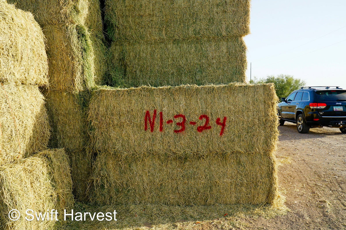 H&C Farms #1 Alfalfa 3 String Bale Hay N1-3-24 Test Hay Good Arizona Alfalfa Big Bale RFV 166 CP 19.70 TDN 58.92 FACS 89/110