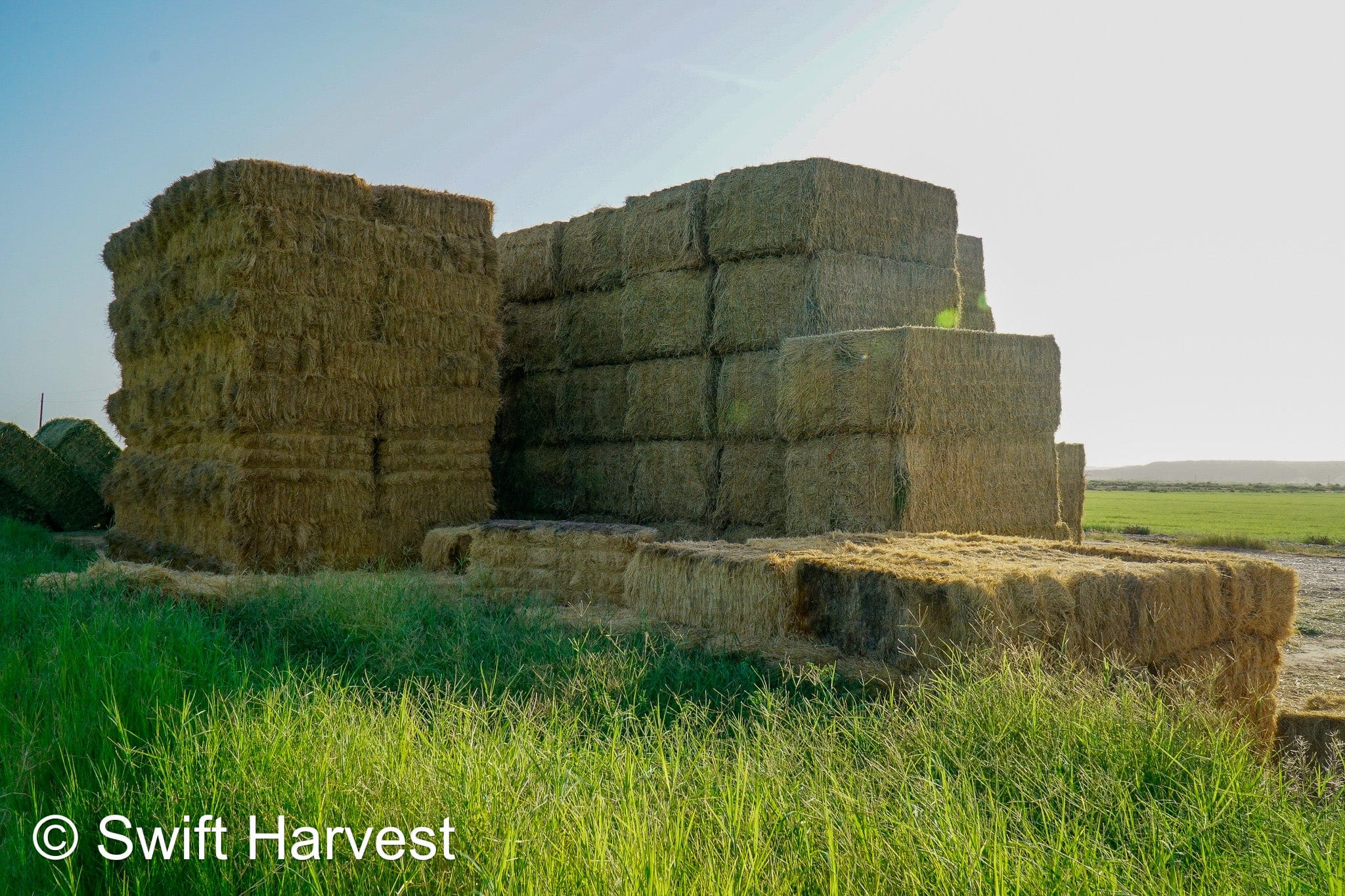 H&C Farms #1 Alfalfa 3 String Bale Hay N1-3-24 Test Hay Good Arizona Alfalfa Big Bale RFV 166 CP 19.70 TDN 58.92 FACS 89/110