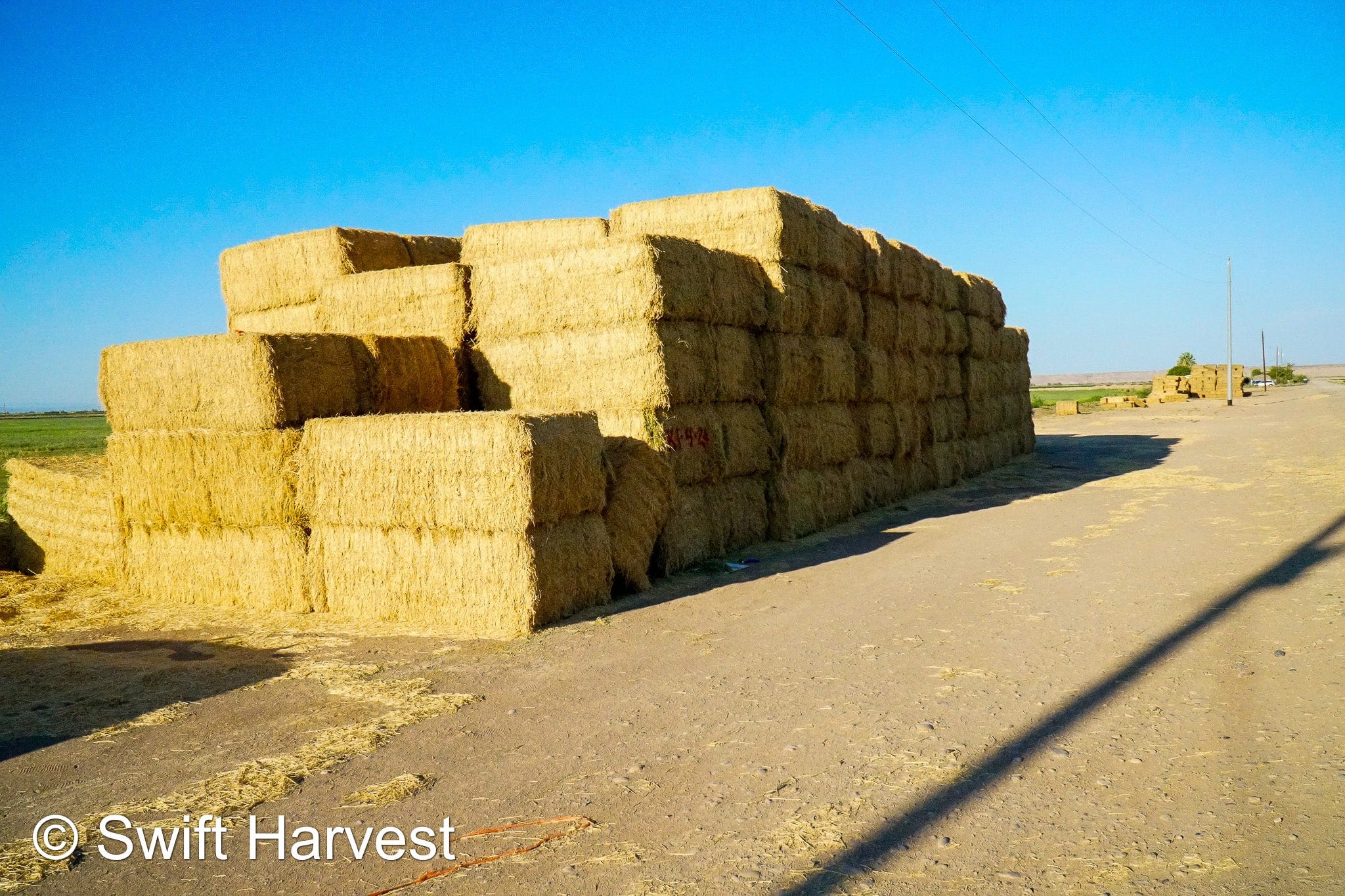 H&C Farms #1 Alfalfa 3 String Bale Hay R1-2-24 Az Alfalfa 3-String Small Bale Hay under 100 lbs per bale