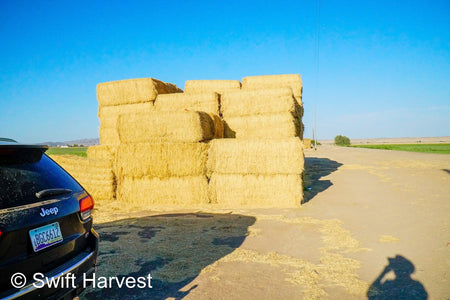 H&C Farms #1 Alfalfa 3 String Bale Hay R1-2-24 Az Alfalfa 3-String Small Bale Hay under 100 lbs per bale