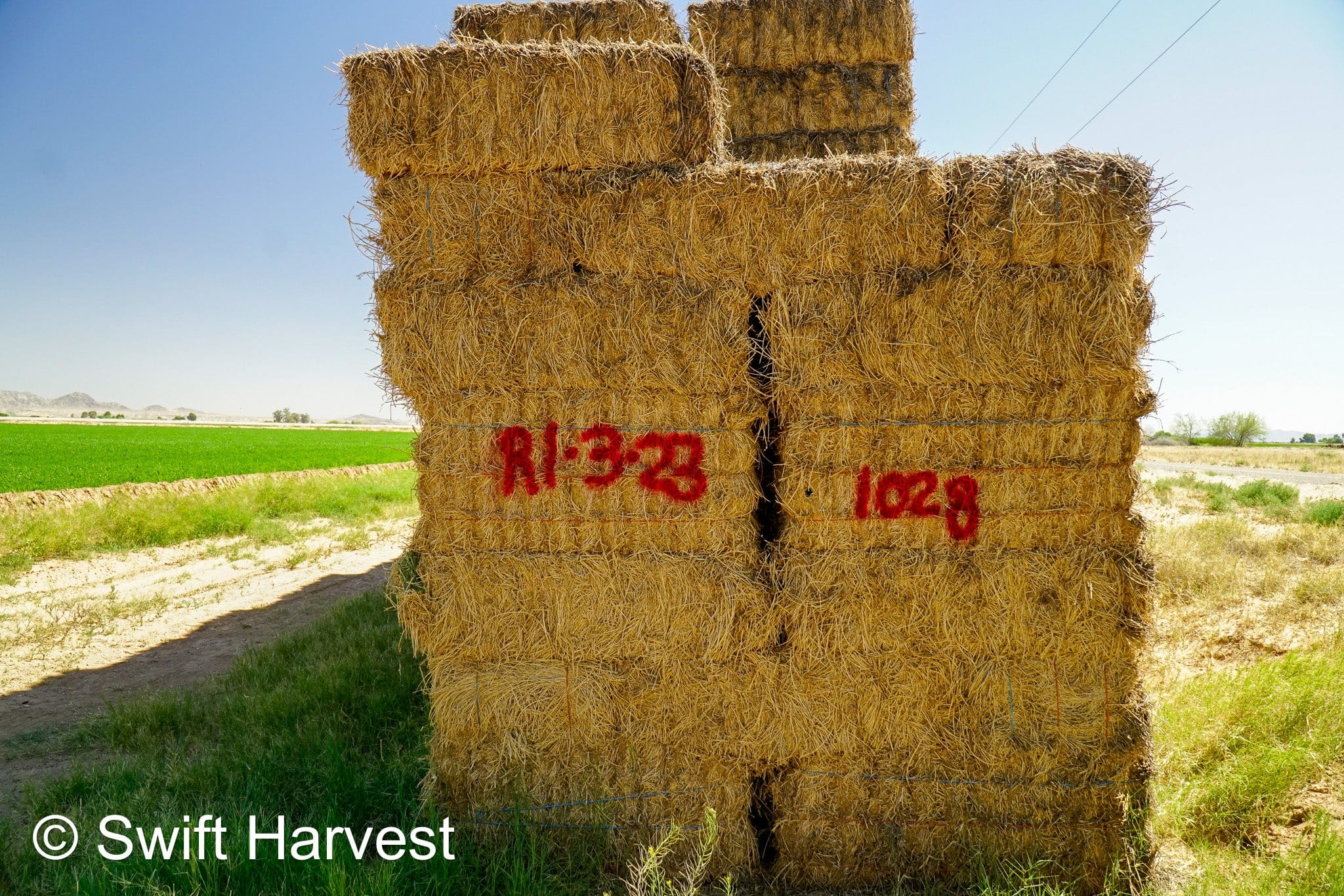 H&C Farms #1 Alfalfa 3 String Bale Hay R1-3-23 Good Arizona Alfalfa 3-String Test  Hay under 100 lbs  per ton rain damaged