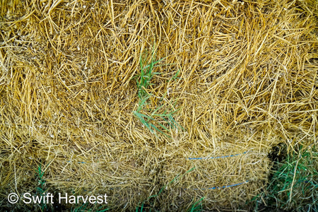 H&C Farms #1 Alfalfa 3 String Bale Hay R1-3-23 Good Arizona Alfalfa 3-String Test  Hay under 100 lbs  per ton rain damaged