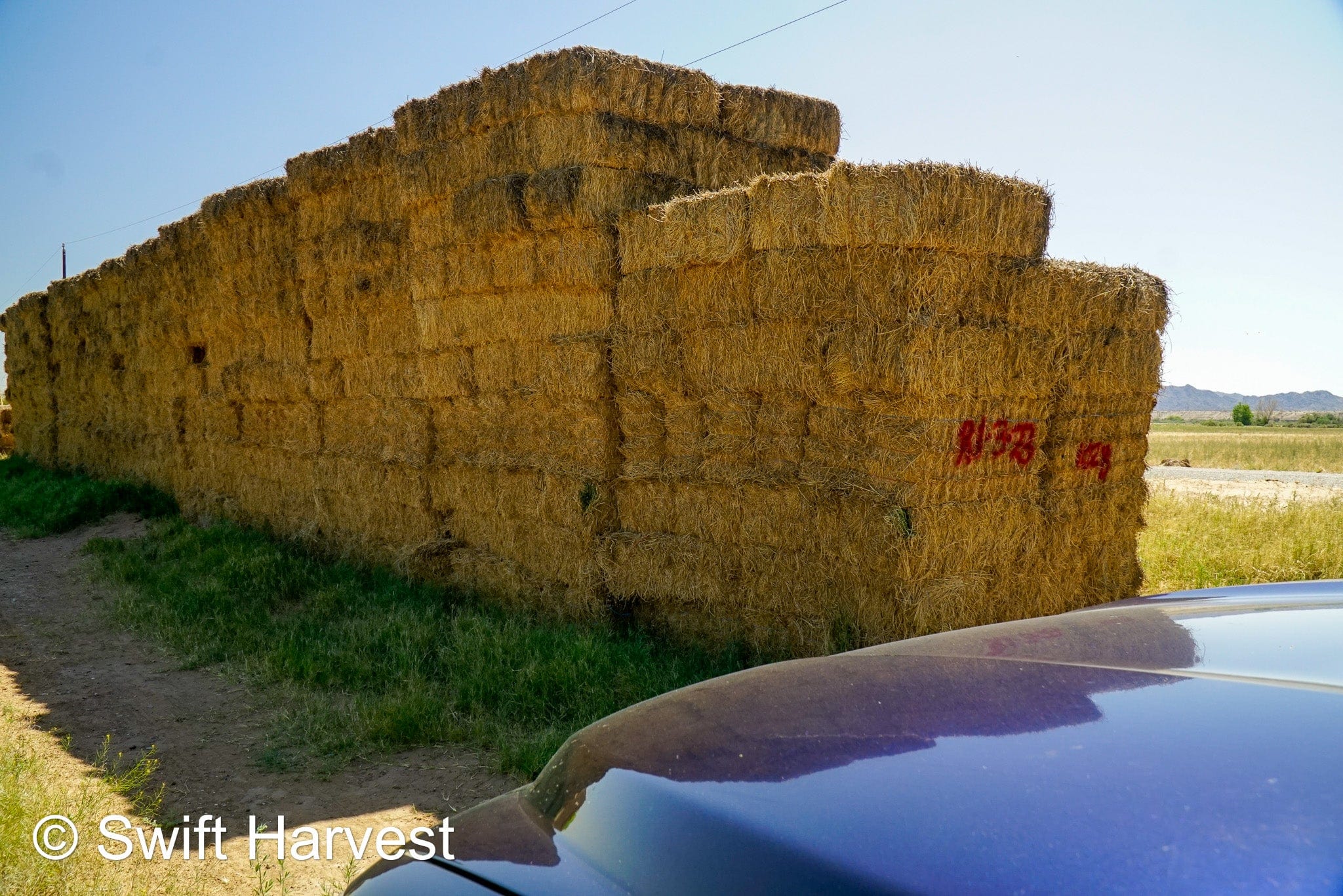 H&C Farms #1 Alfalfa 3 String Bale Hay R1-3-23 Good Arizona Alfalfa 3-String Test  Hay under 100 lbs  per ton rain damaged