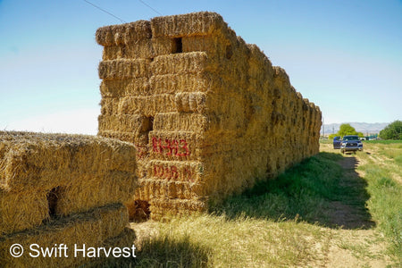 H&C Farms #1 Alfalfa 3 String Bale Hay R1-3-23 Good Arizona Alfalfa 3-String Test  Hay under 100 lbs  per ton rain damaged