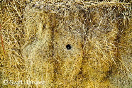 H&C Farms #1 Alfalfa 3 String Bale Hay R1-3-23 Good Arizona Alfalfa 3-String Test  Hay under 100 lbs  per ton rain damaged