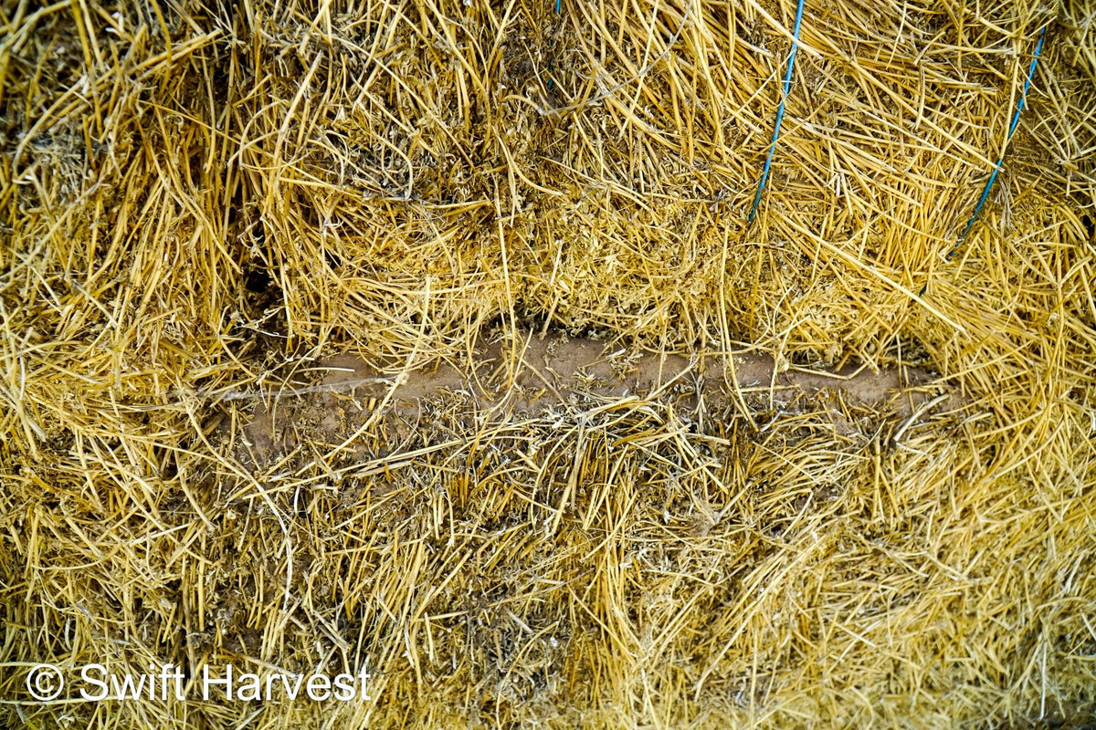 H&C Farms #1 Alfalfa 3 String Bale Hay R1-3-23 Good Arizona Alfalfa 3-String Test  Hay under 100 lbs  per ton rain damaged