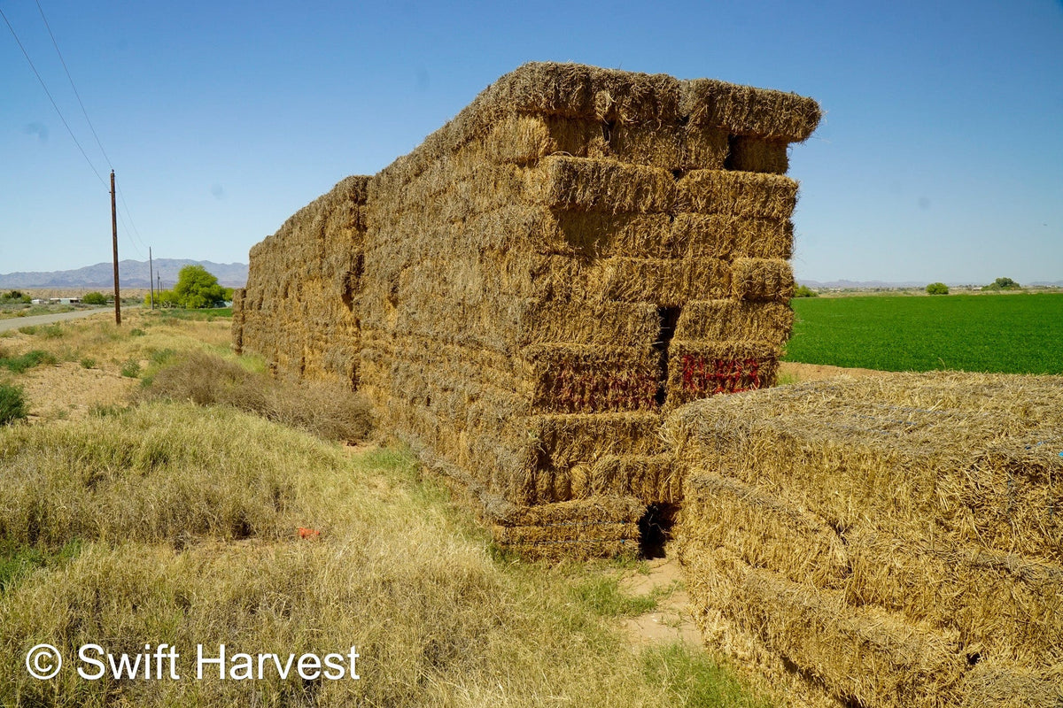 H&C Farms #1 Alfalfa 3 String Bale Hay R1-3-23 Good Arizona Alfalfa 3-String Test  Hay under 100 lbs  per ton rain damaged