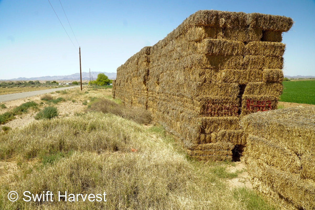 H&C Farms #1 Alfalfa 3 String Bale Hay R1-3-23 Good Arizona Alfalfa 3-String Test  Hay under 100 lbs  per ton rain damaged