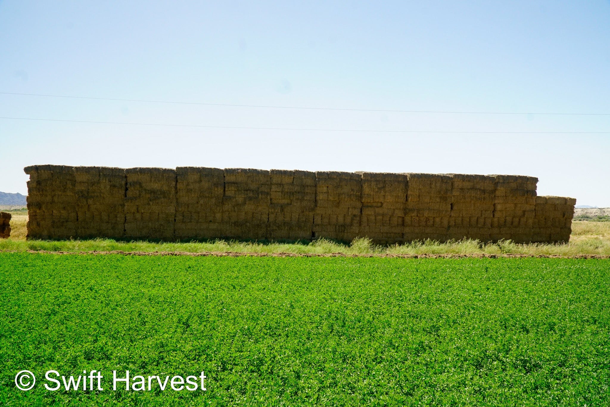 H&C Farms #1 Alfalfa 3 String Bale Hay R1-3-23 Good Arizona Alfalfa 3-String Test  Hay under 100 lbs  per ton rain damaged