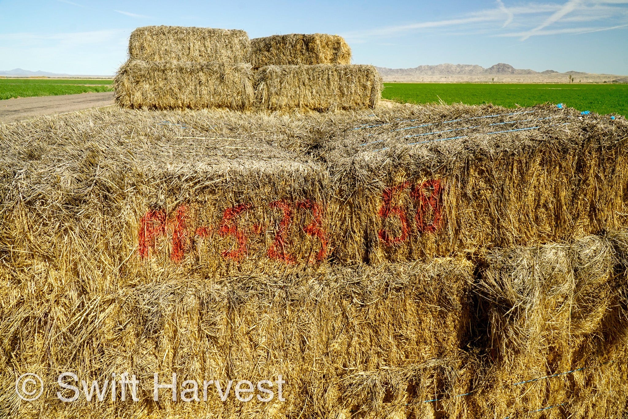 H&C Farms Big Bale Alfalfa #1 Premium Arizona Alfalfa P1-5-23 per bale