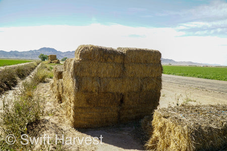 H&C Farms Big Bale Alfalfa #1 Premium Arizona Alfalfa P1-5-23 per bale