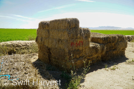 H&C Farms Big Bale Alfalfa #1 Premium Arizona Alfalfa P1-5-23 per bale