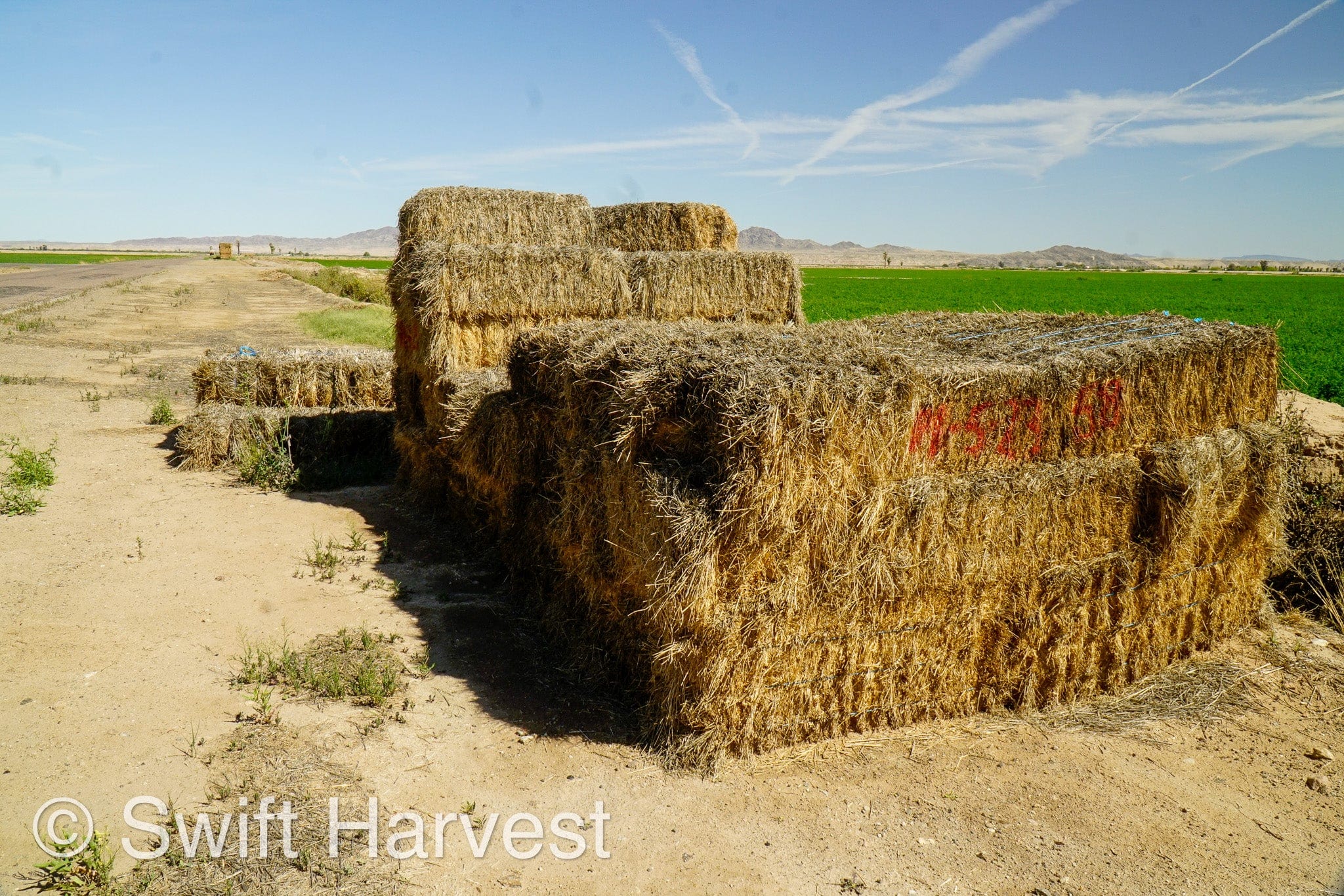 H&C Farms Big Bale Alfalfa #1 Premium Arizona Alfalfa P1-5-23 per bale