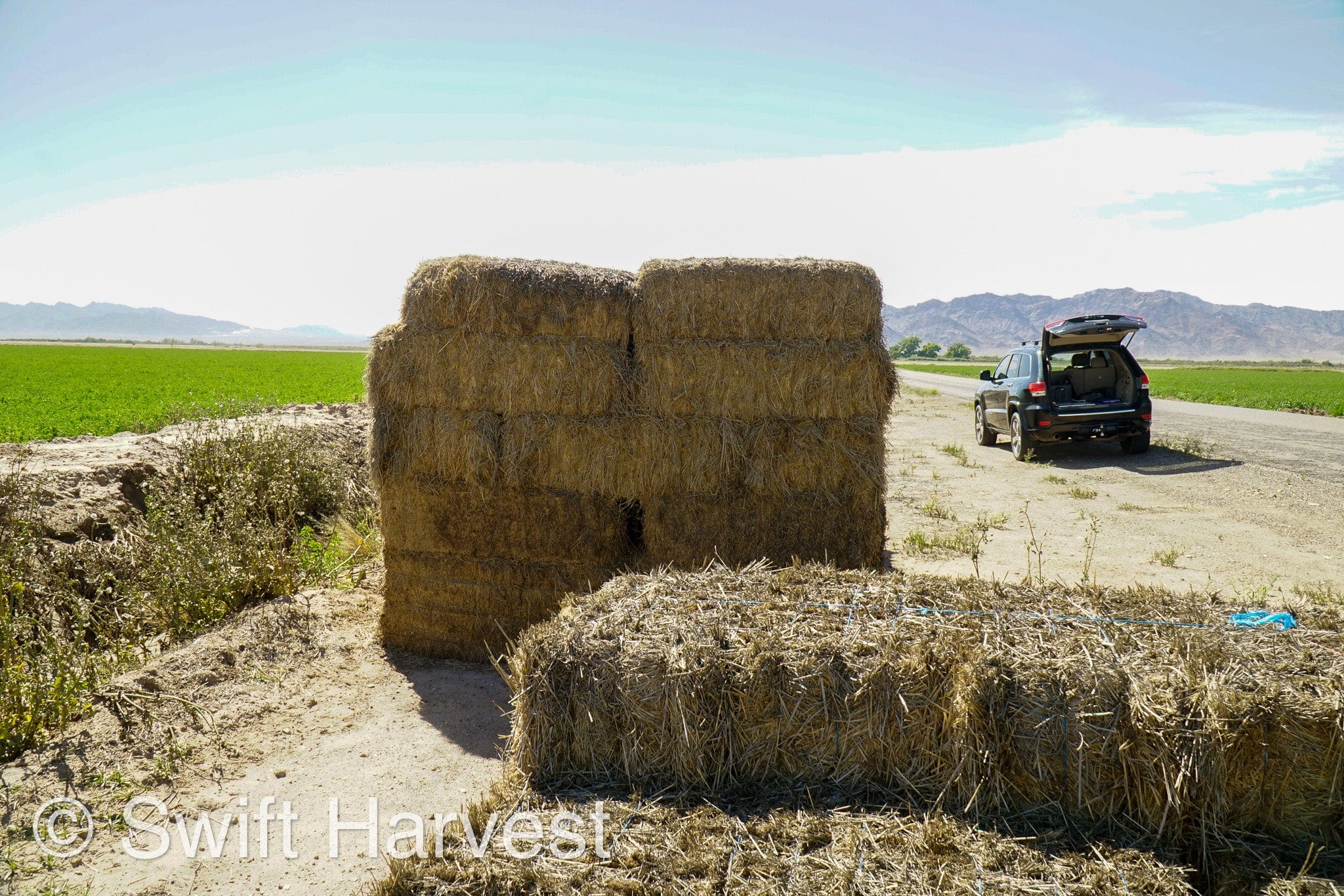 H&C Farms Big Bale Alfalfa #1 Premium Arizona Alfalfa P1-5-23 per bale