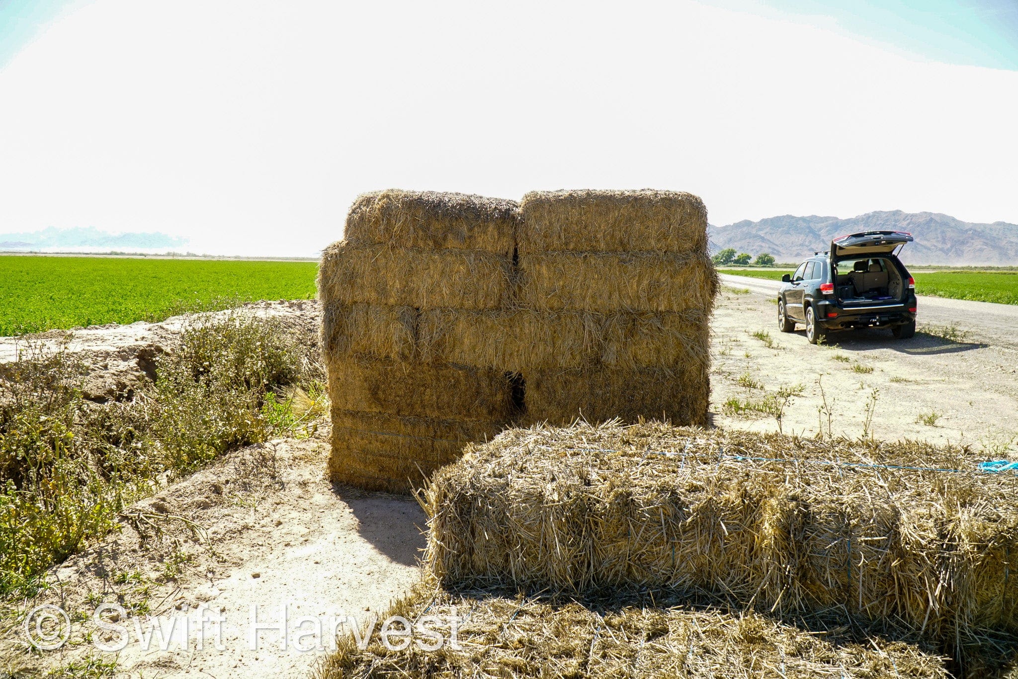 H&C Farms Big Bale Alfalfa #1 Premium Arizona Alfalfa P1-5-23 per bale