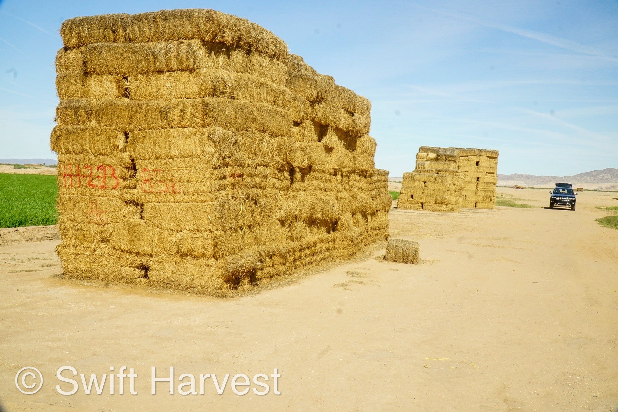 H&C Farms Big Bale Alfalfa #2 Arizona Alfalfa H1-2-23 per ton  Rain Damaged live