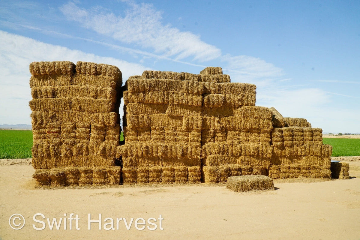 H&C Farms Big Bale Alfalfa #2 Arizona Alfalfa H1-2-23 per ton  Rain Damaged live