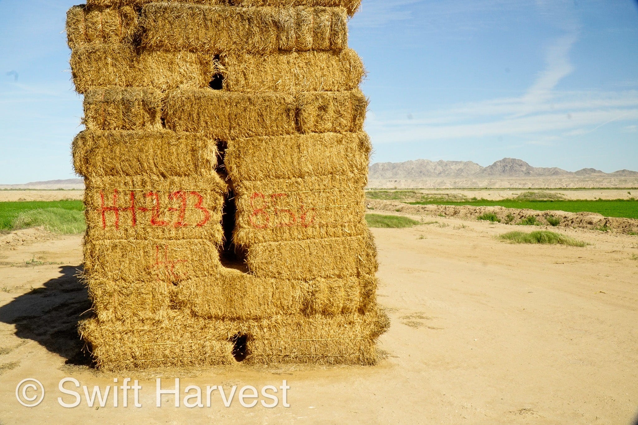 H&C Farms Big Bale Alfalfa #2 Arizona Alfalfa H1-2-23 per ton  Rain Damaged live