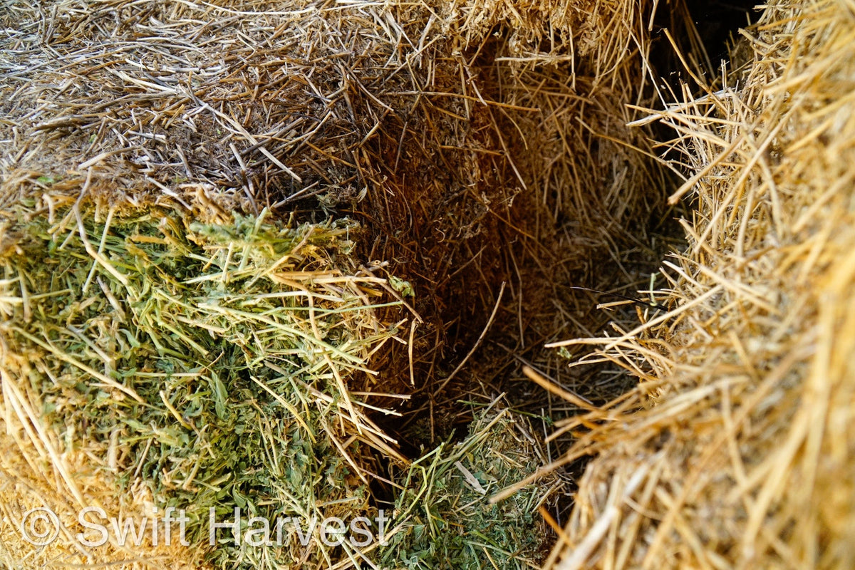 H&C Farms Big Bale Alfalfa #2 Arizona Alfalfa H1-2-23 per ton  Rain Damaged live