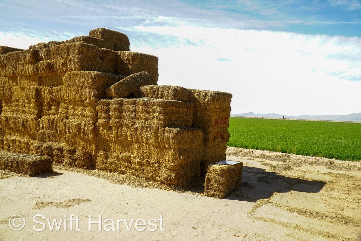 H&C Farms Big Bale Alfalfa #2 Arizona Alfalfa H1-2-23 per ton  Rain Damaged live