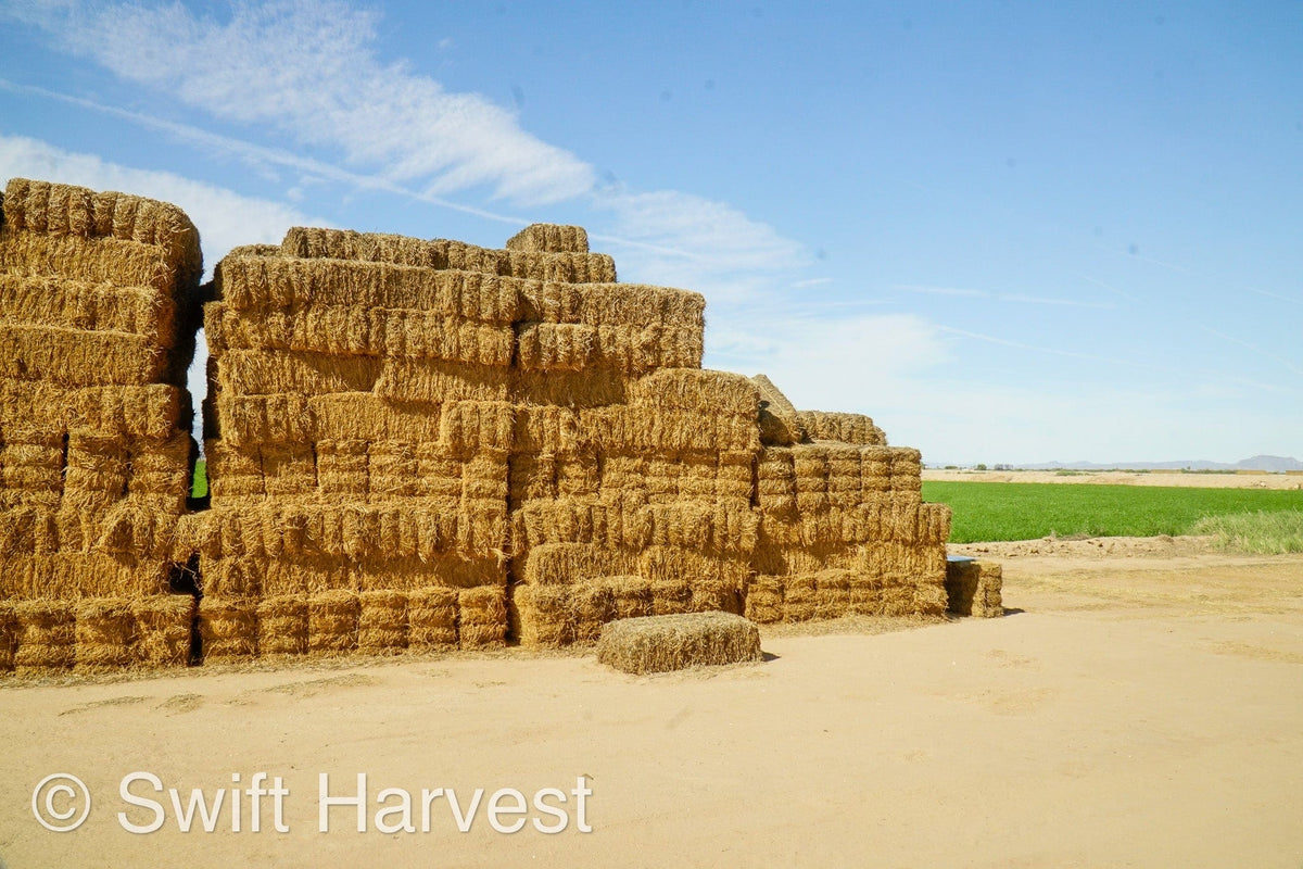 H&C Farms Big Bale Alfalfa #2 Arizona Alfalfa H1-2-23 per ton  Rain Damaged live