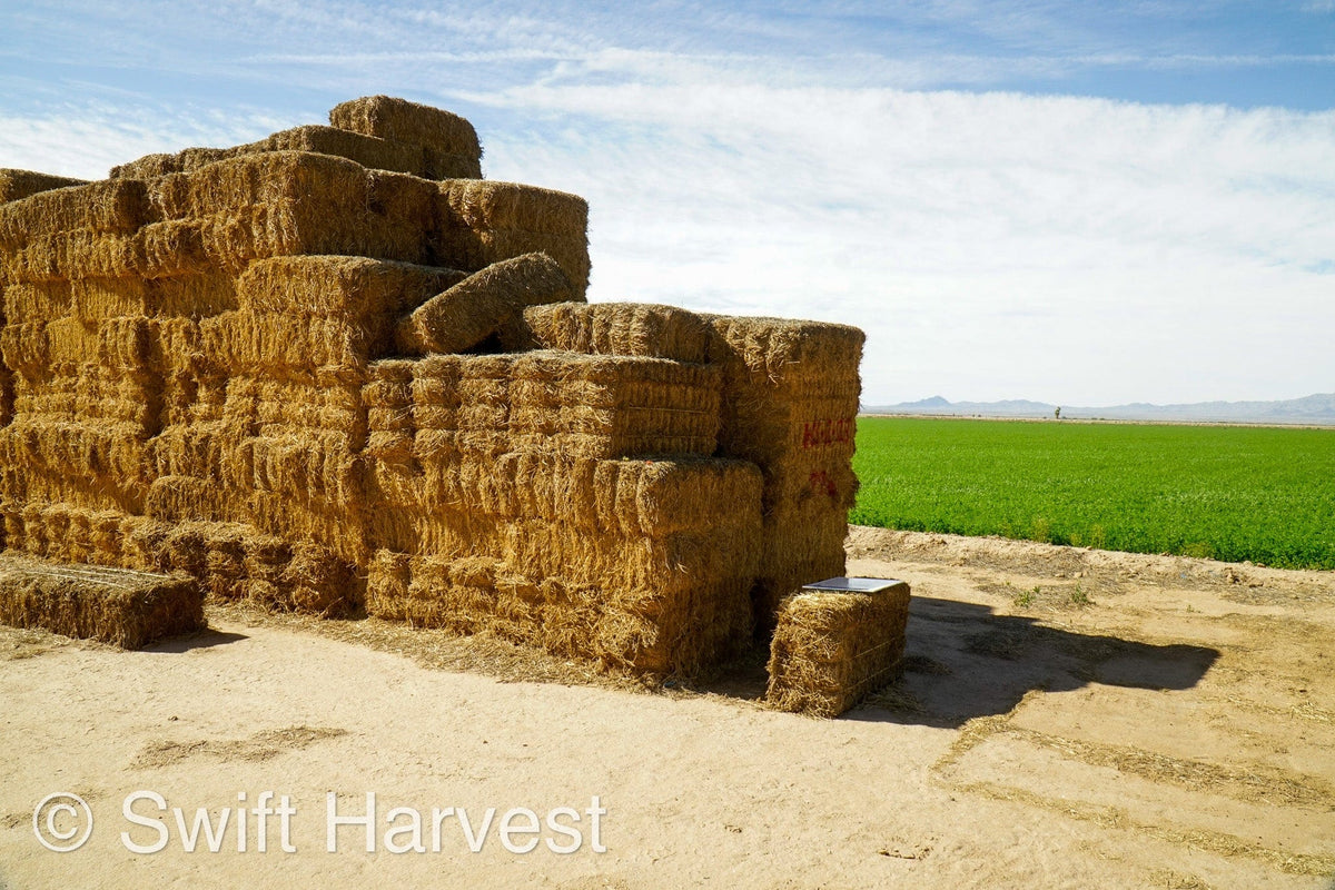 H&C Farms Big Bale Alfalfa #2 Arizona Alfalfa H1-2-23 per ton  Rain Damaged live