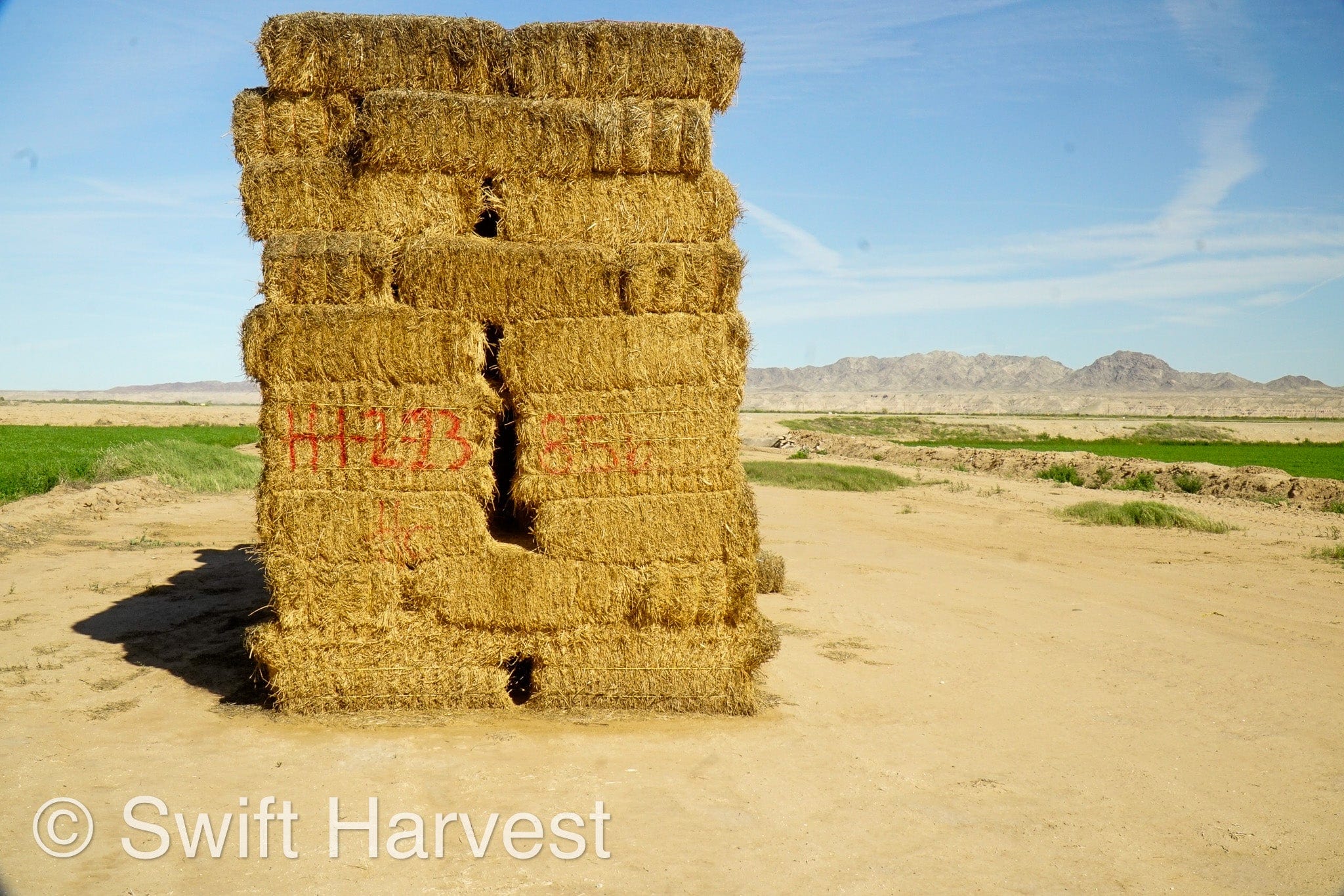 H&C Farms Big Bale Alfalfa #2 Arizona Alfalfa H1-2-23 per ton  Rain Damaged live