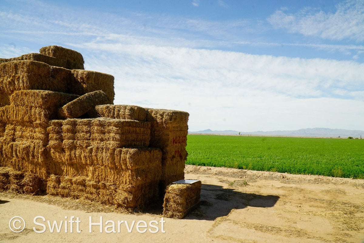 H&C Farms Big Bale Alfalfa #2 Arizona Alfalfa H1-2-23 per ton  Rain Damaged live