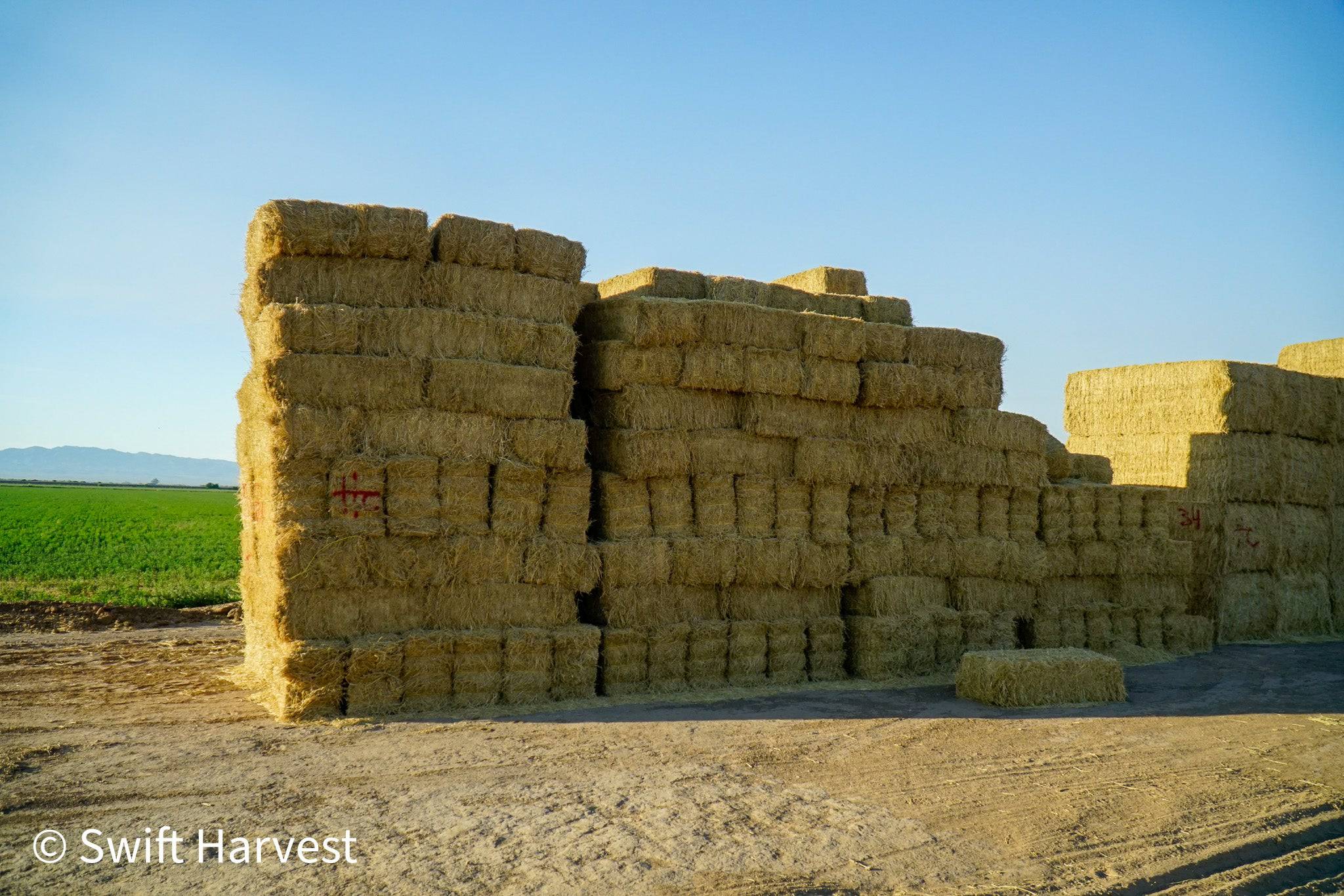 H&C Farms Big Bale Alfalfa #2 Arizona Alfalfa H1-2-23 per ton  Rain Damaged live