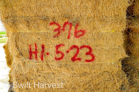 H&C Farms Big Bale Alfalfa #2 Premium Arizona Alfalfa H1-5-23 per ton Rain Damaged live