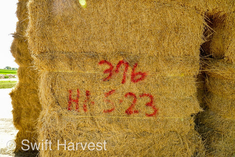 H&C Farms Big Bale Alfalfa #2 Premium Arizona Alfalfa H1-5-23 per ton Rain Damaged live