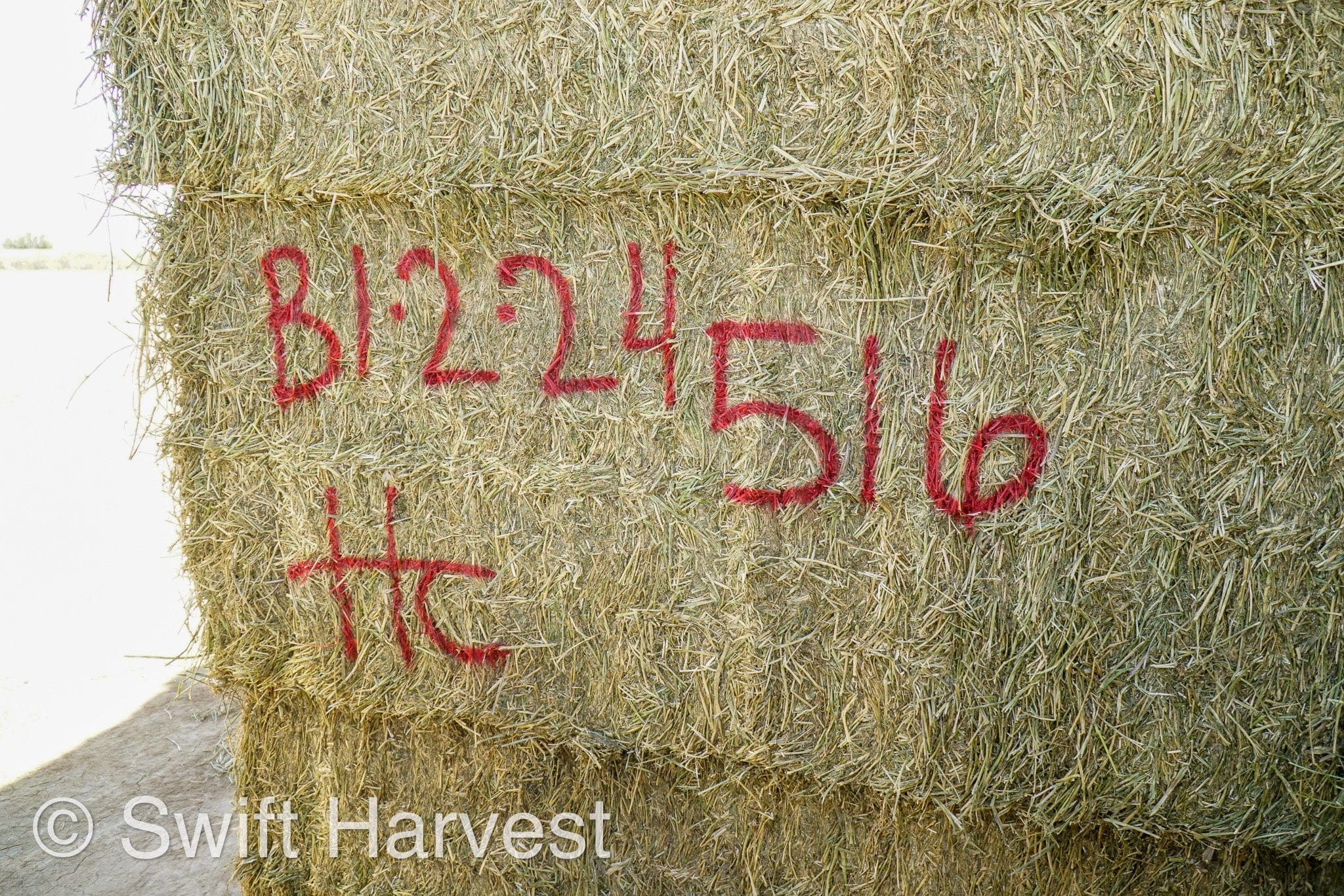 H&C Farms Big Bale Alfalfa Arizona Alfalfa Big Bales Hay B1-2-24