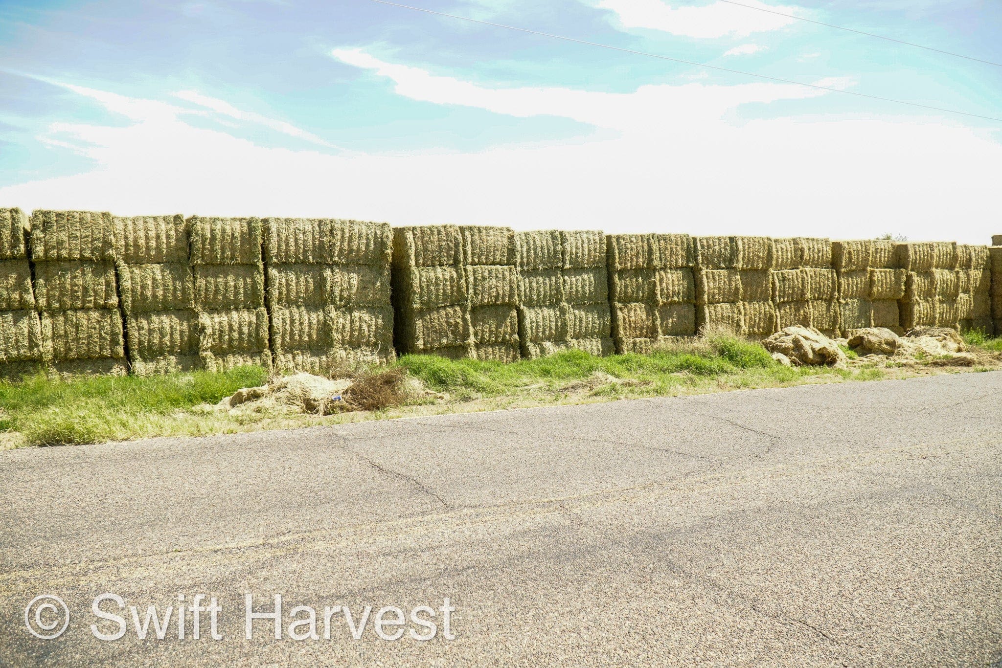 H&C Farms Big Bale Alfalfa Arizona Alfalfa Big Bales Hay B1-2-24