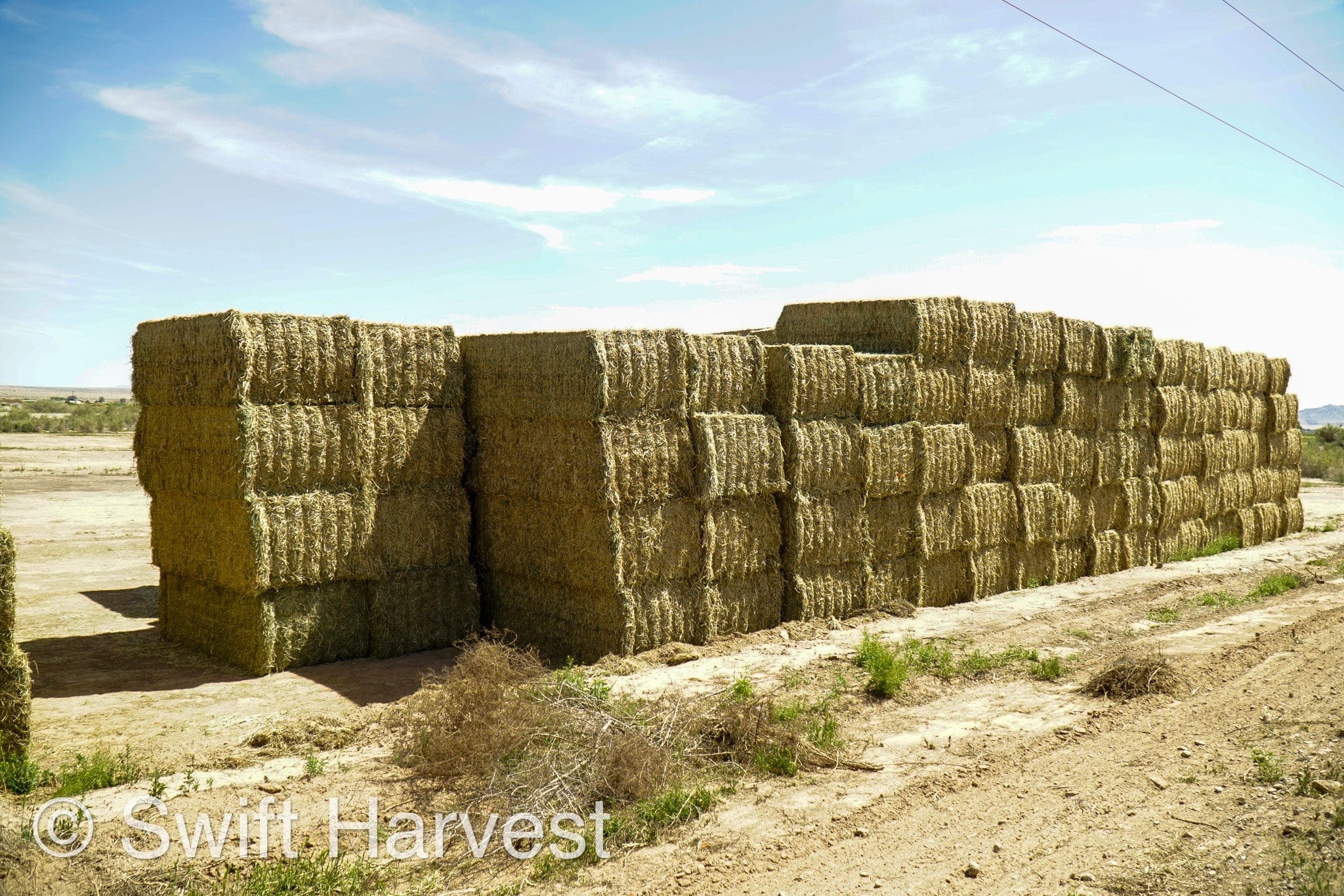 H&C Farms Big Bale Alfalfa Arizona Alfalfa Big Bales Hay B1-2-24