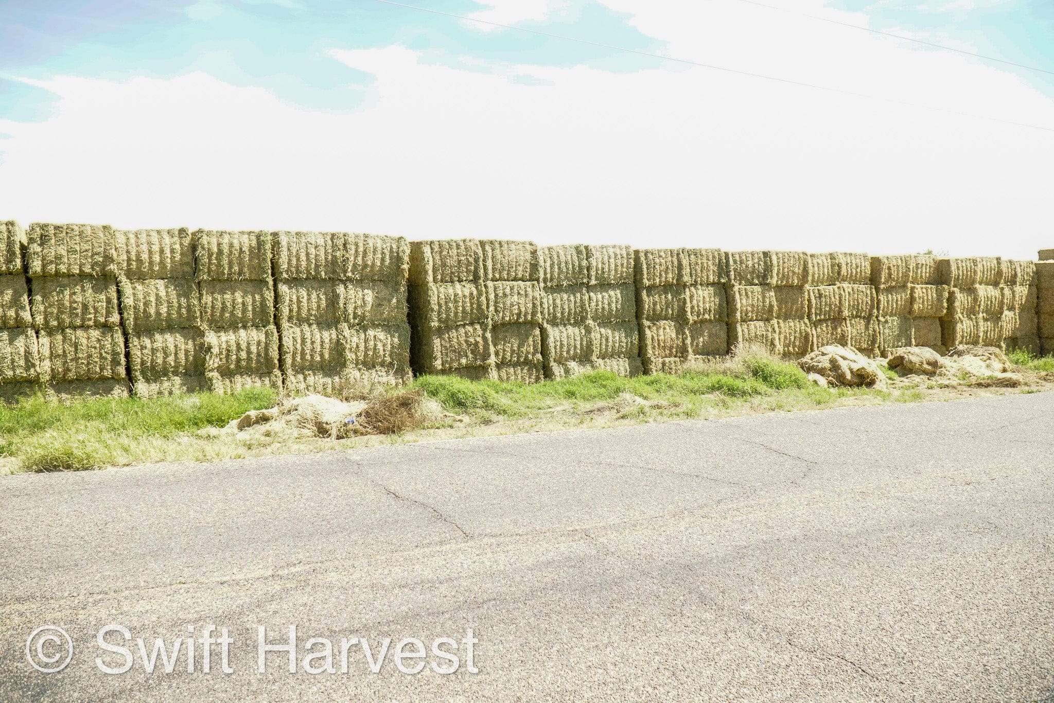 H&C Farms Big Bale Alfalfa Arizona Alfalfa Big Bales Hay B1-2-24