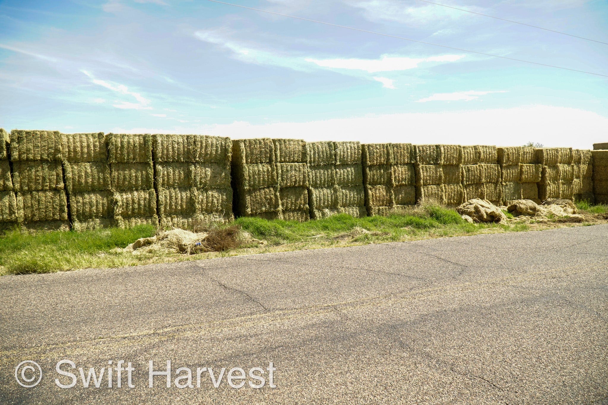 H&C Farms Big Bale Alfalfa Arizona Alfalfa Big Bales Hay B1-2-24