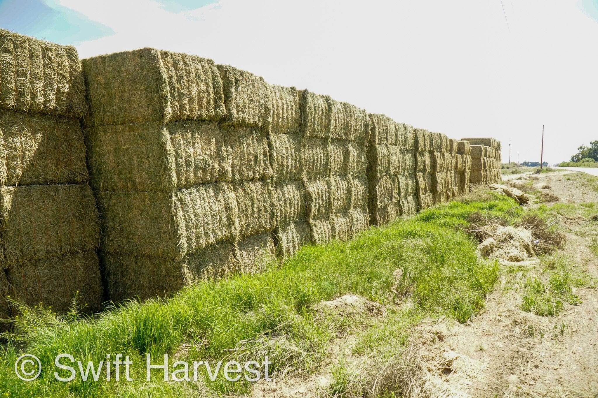 H&C Farms Big Bale Alfalfa Arizona Alfalfa Big Bales Hay B1-2-24