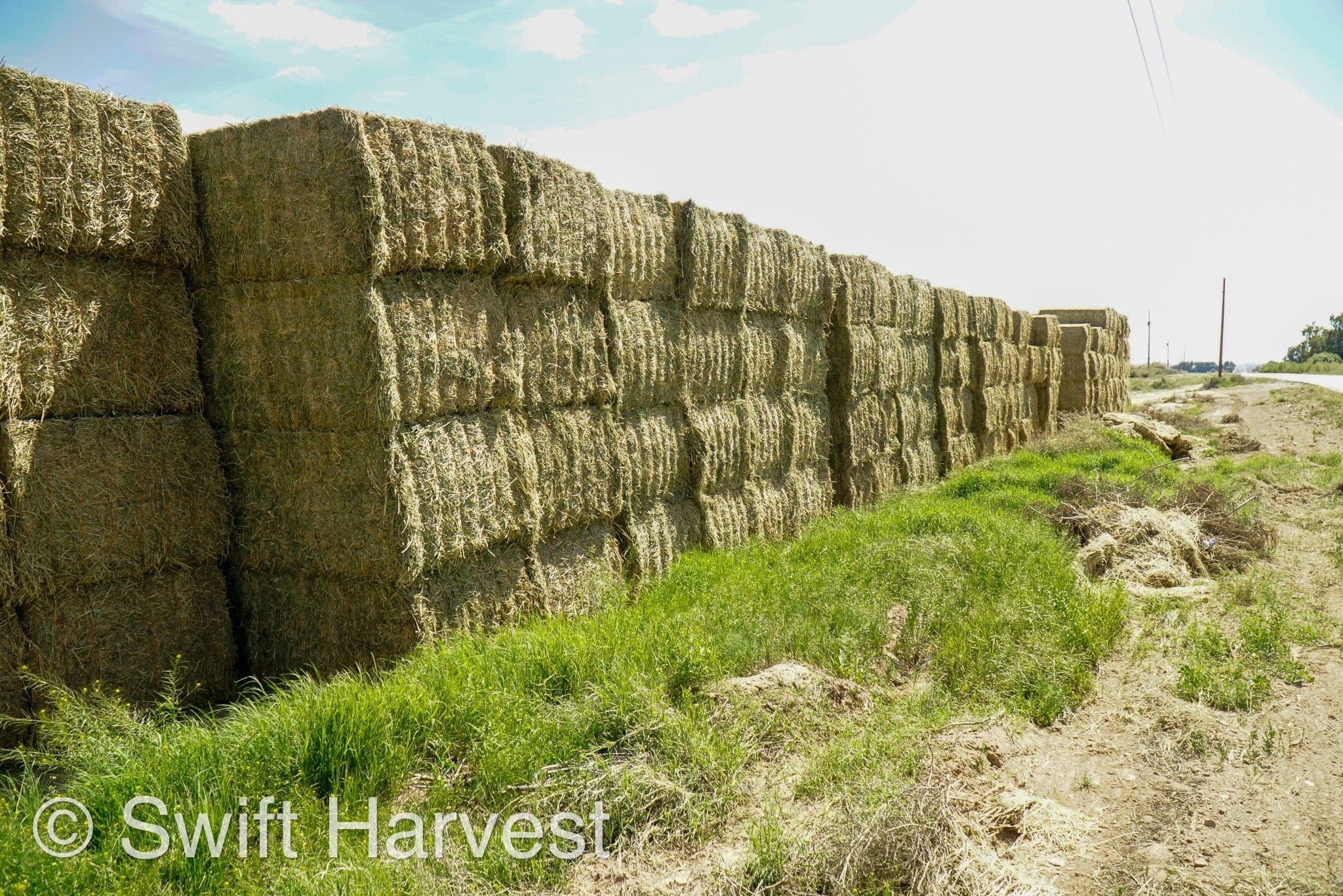 H&C Farms Big Bale Alfalfa Arizona Alfalfa Big Bales Hay B1-2-24