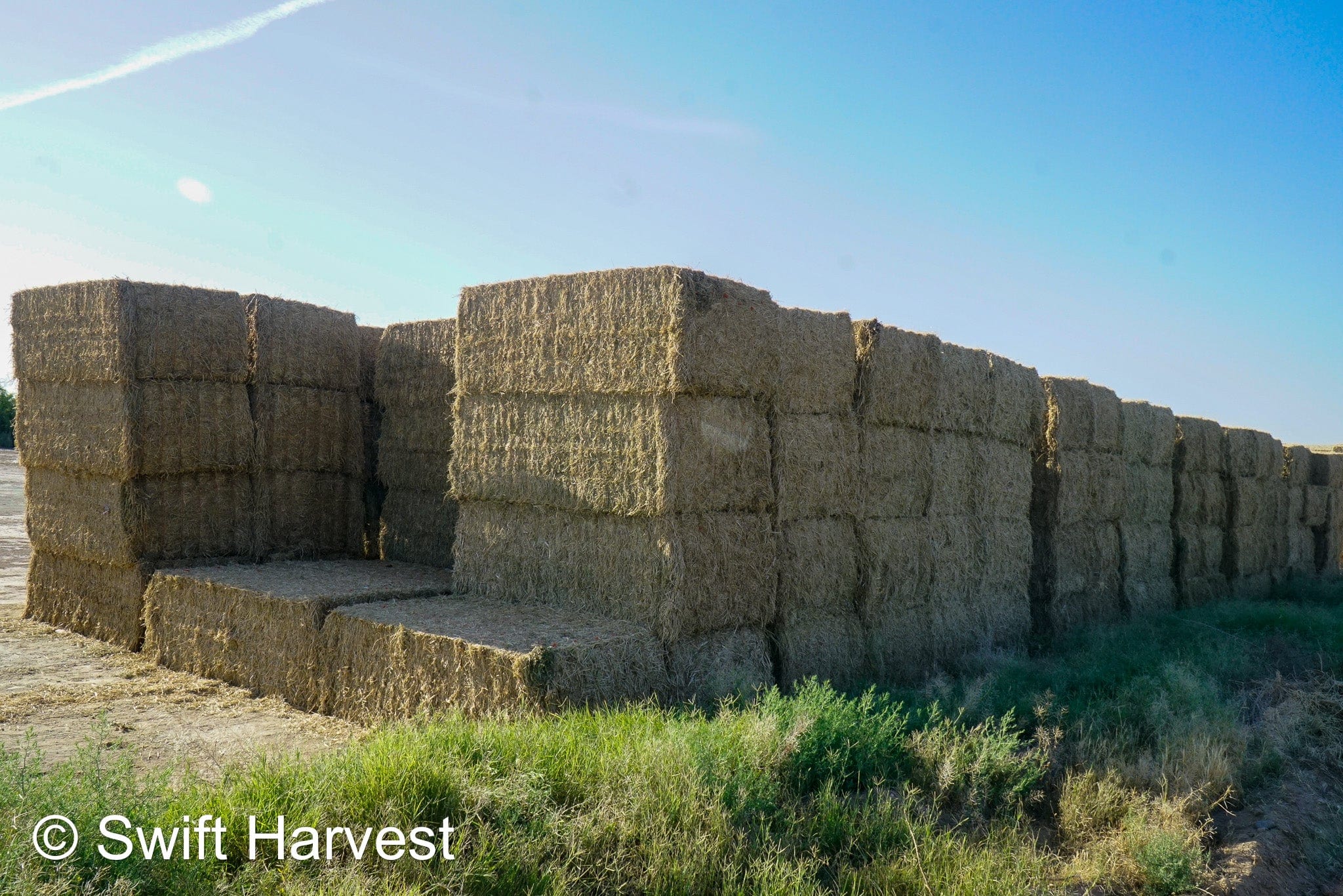 H&C Farms Big Bale Alfalfa B1-2-24 Good Arizona Alfalfa Big Bales Test Hay Per Ton