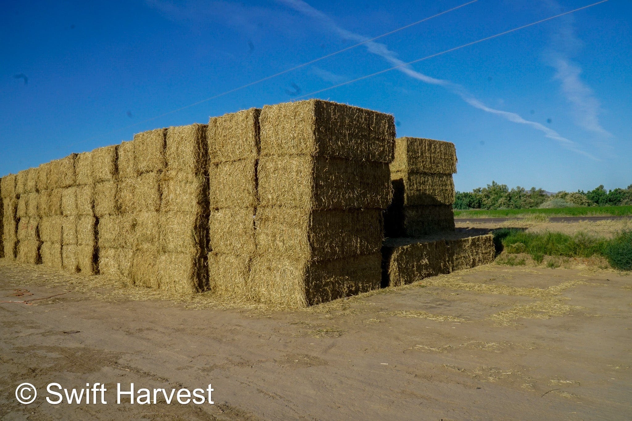 H&C Farms Big Bale Alfalfa B1-2-24 Good Arizona Alfalfa Big Bales Test Hay Per Ton