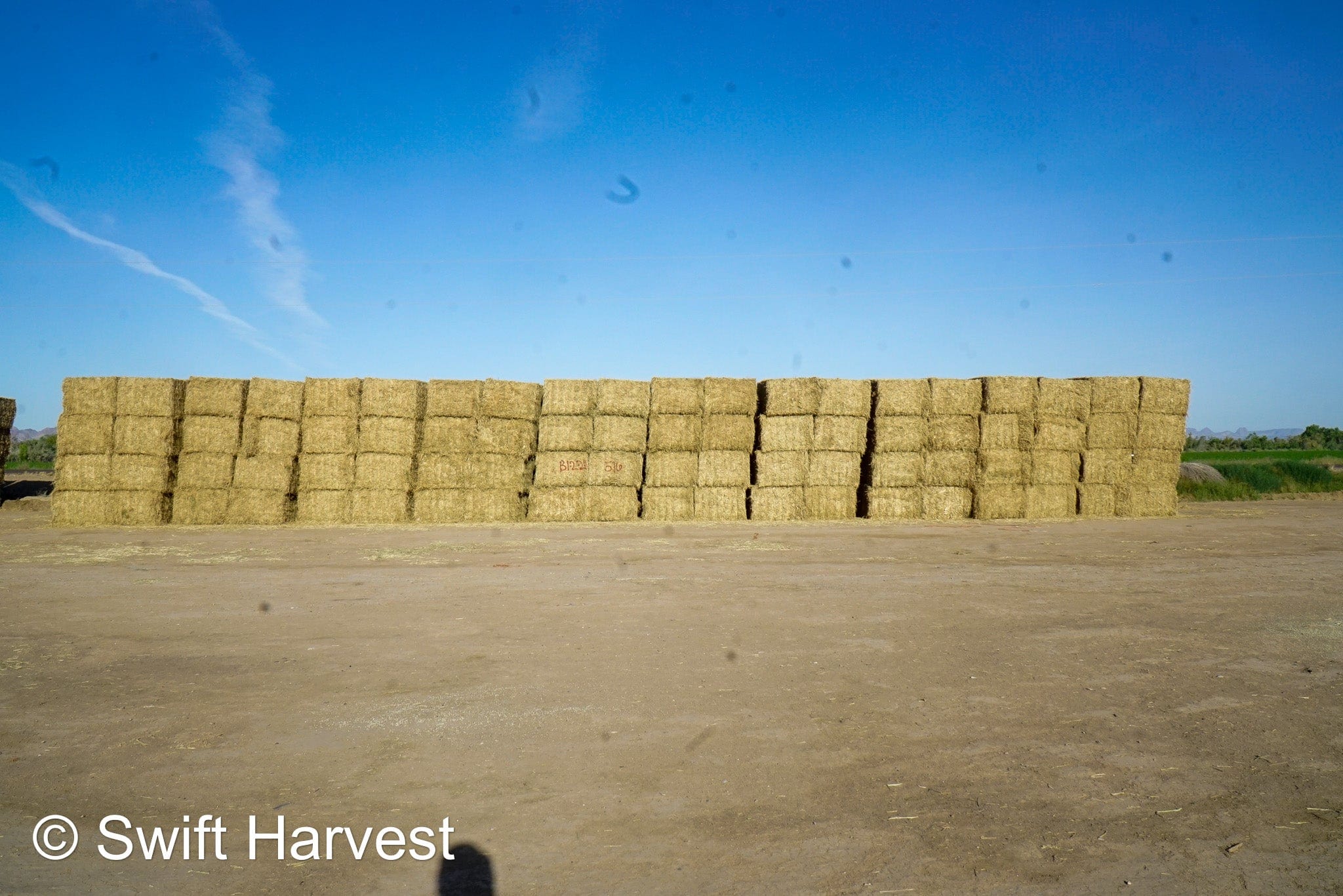 H&C Farms Big Bale Alfalfa B1-2-24 Good Arizona Alfalfa Big Bales Test Hay Per Ton