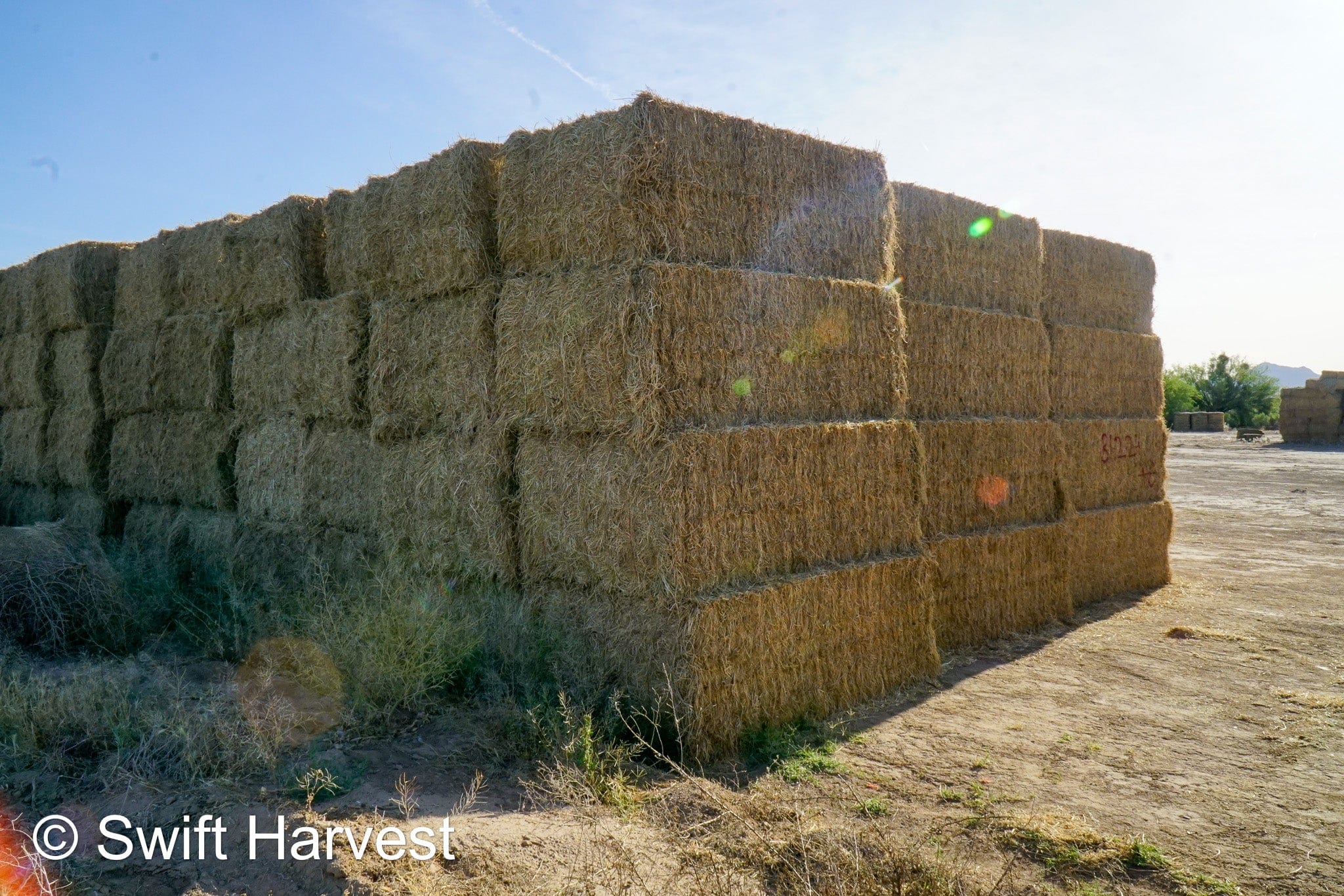 H&C Farms Big Bale Alfalfa B1-2-24 Good Arizona Alfalfa Big Bales Test Hay Per Ton