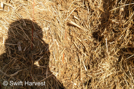 H&C Farms Big Bale Alfalfa B1-2-24 Good Arizona Alfalfa Big Bales Test Hay Per Ton