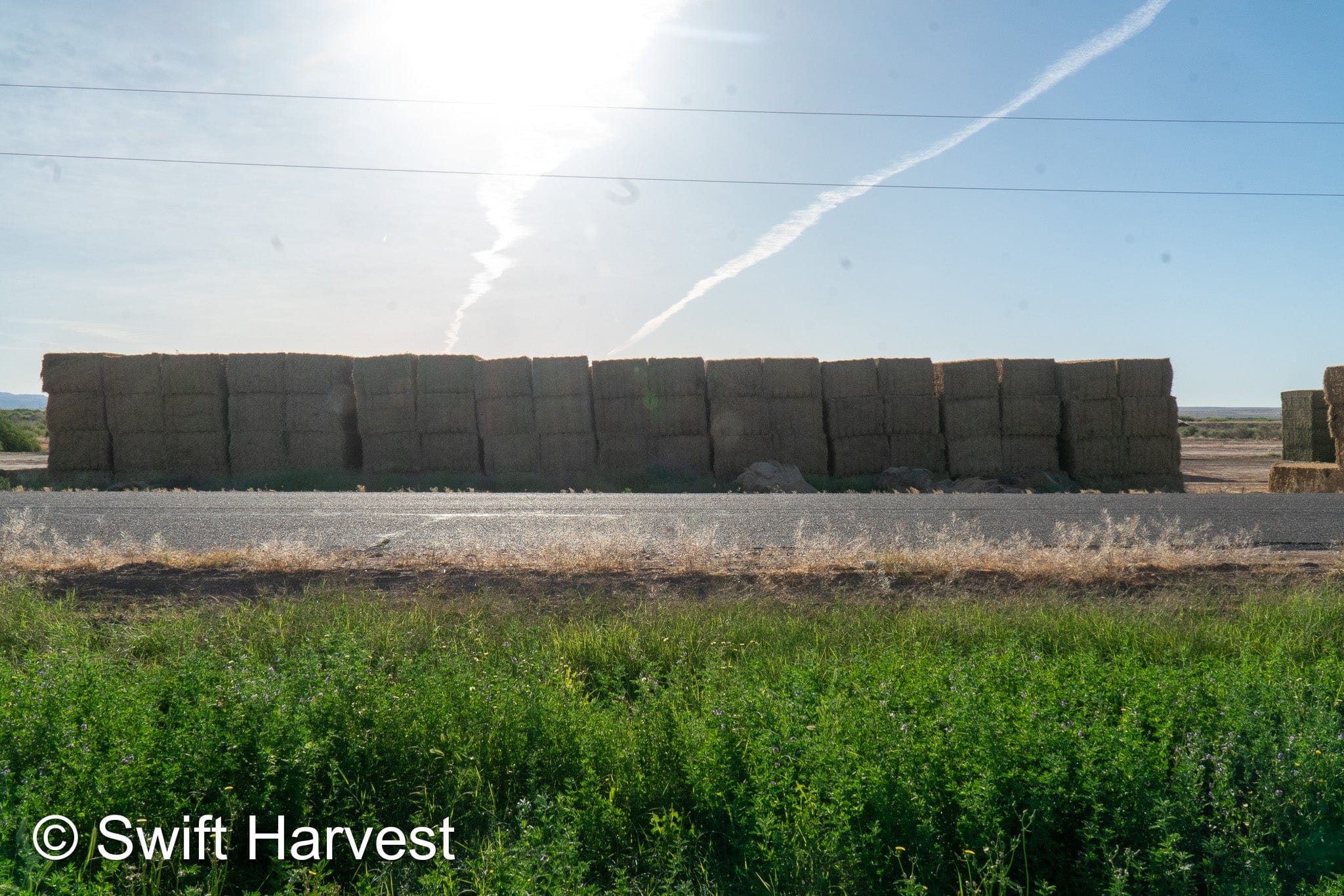 H&C Farms Big Bale Alfalfa B1-2-24 Good Arizona Alfalfa Big Bales Test Hay Per Ton