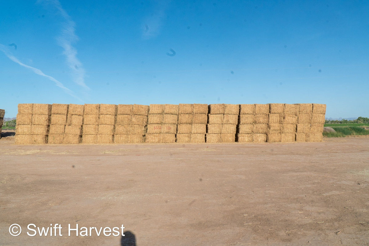 H&C Farms Big Bale Alfalfa B1-2-24 Good Arizona Alfalfa Big Bales Test Hay Per Ton