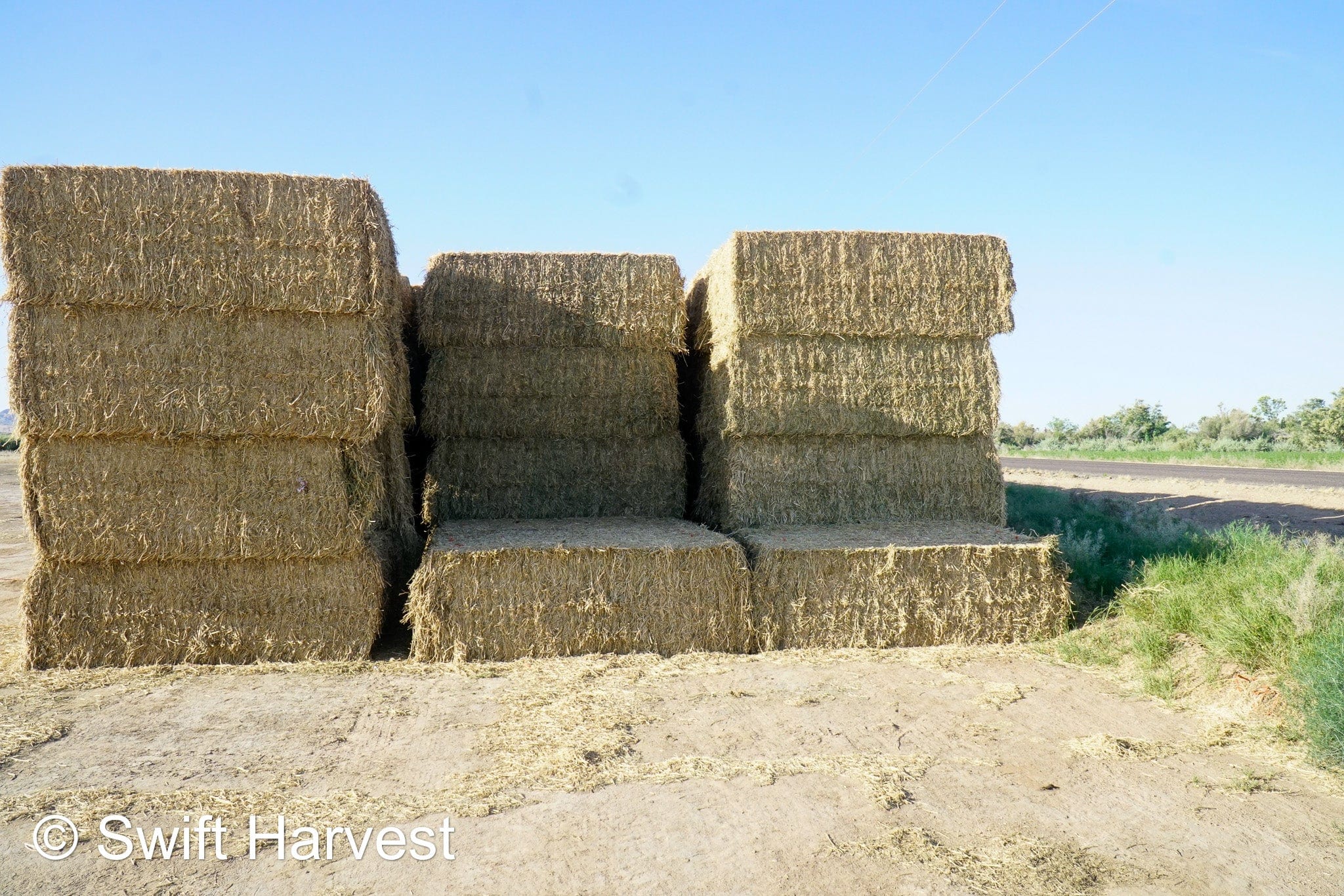 H&C Farms Big Bale Alfalfa B1-2-24 Good Arizona Alfalfa Big Bales Test Hay Per Ton