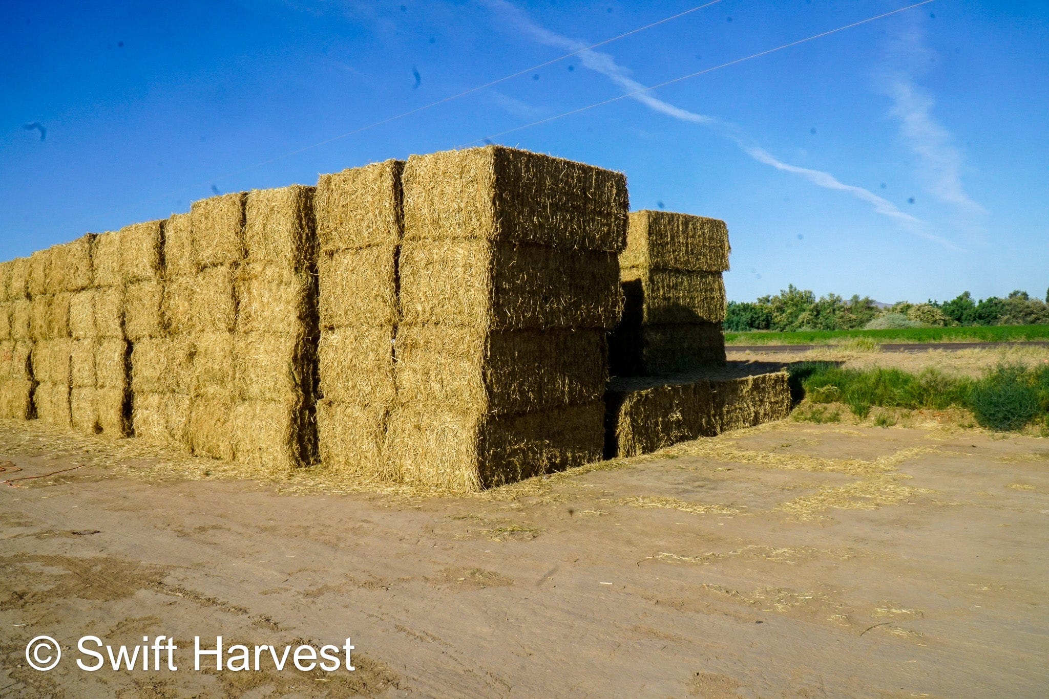 H&C Farms Big Bale Alfalfa B1-2-24 Good Arizona Alfalfa Big Bales Test Hay Per Ton