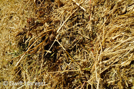 H&C Farms Big Bale Alfalfa B1-2-24 Good Arizona Alfalfa Big Bales Test Hay Per Ton