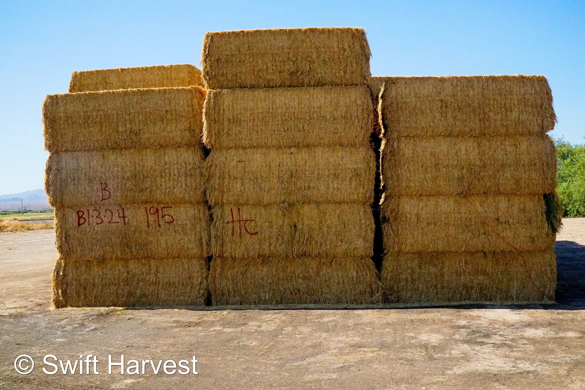 H&C Farms Big Bale Alfalfa B1-3-24B Fair/Good AZ Big Bale Alfalfa CP 18 RFV 138 TDN 54 FACS 98/110